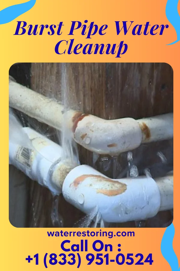 Burst Pipe Water Cleanup in Beaverdam, OH