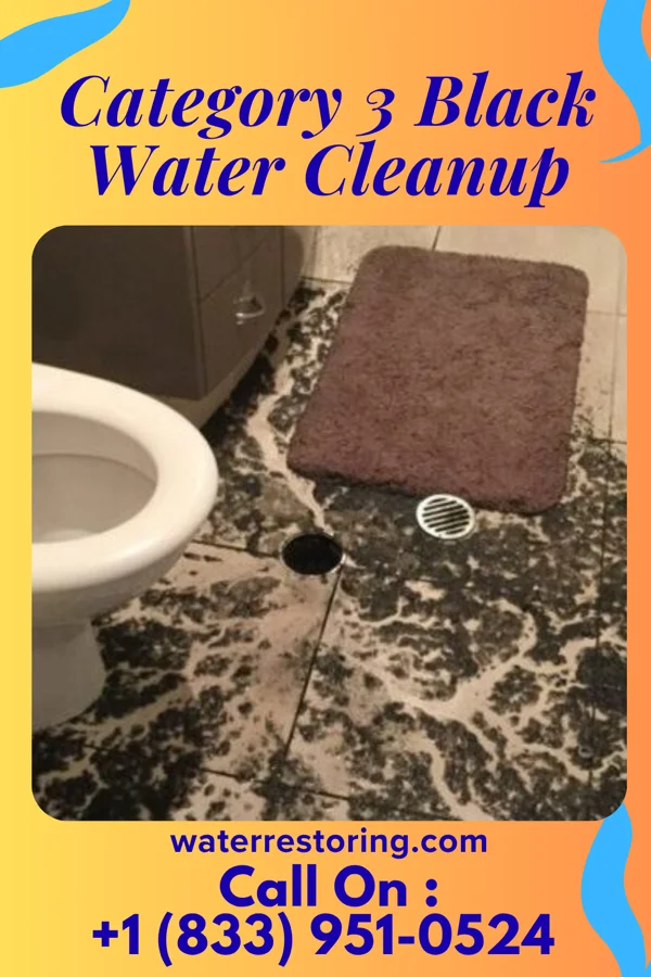 Category 3 Black Water Cleanup in Beaverdam, OH