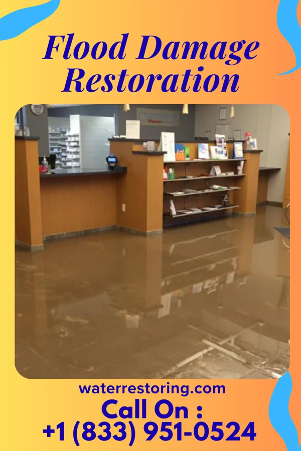 Flood Damage Restoration in Beaverdam, OH