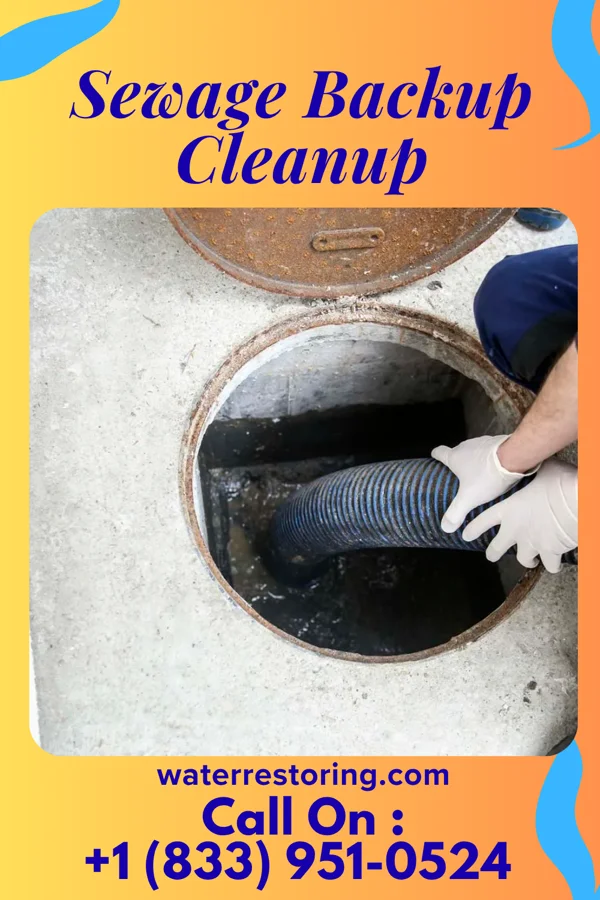 Sewage Backup Cleanup in Beaverdam, OH