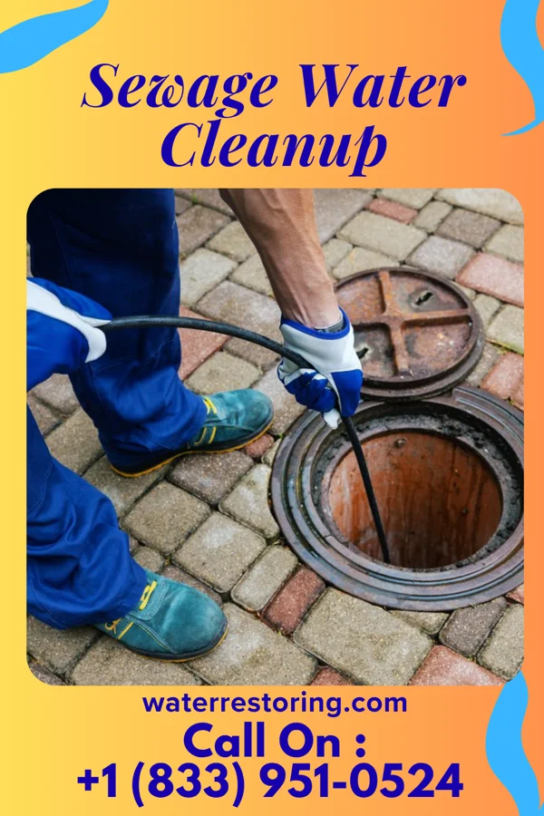 Sewage Water Cleanup in Beaverdam, OH