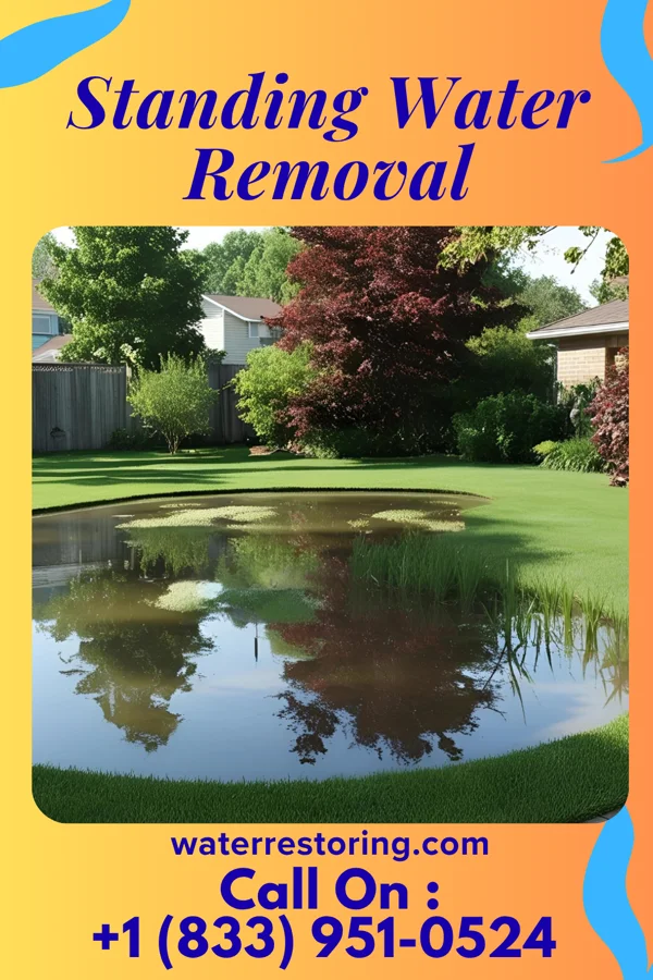 Standing Water Removal in Beaverdam, OH
